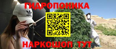 Альфа ПВП Дубна