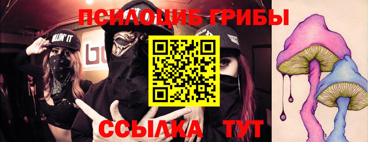 Мытищи  Галлюциногенные грибы Psilocybe  Вход с VPN 