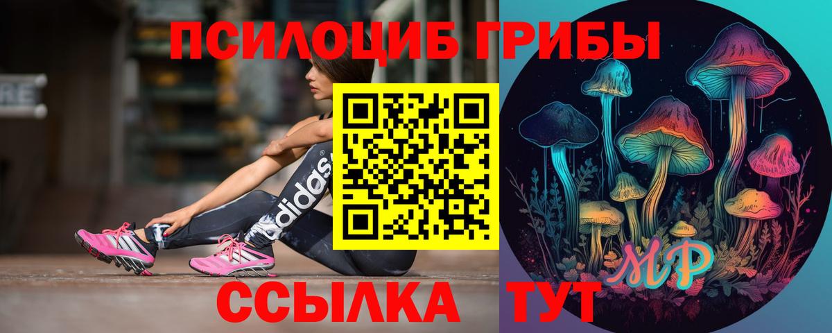 Галлюциногенные грибы мицелий Мытищи